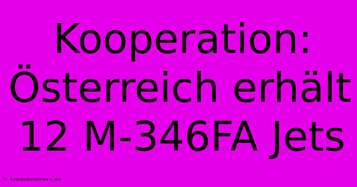 Kooperation: Österreich Erhält 12 M-346FA Jets