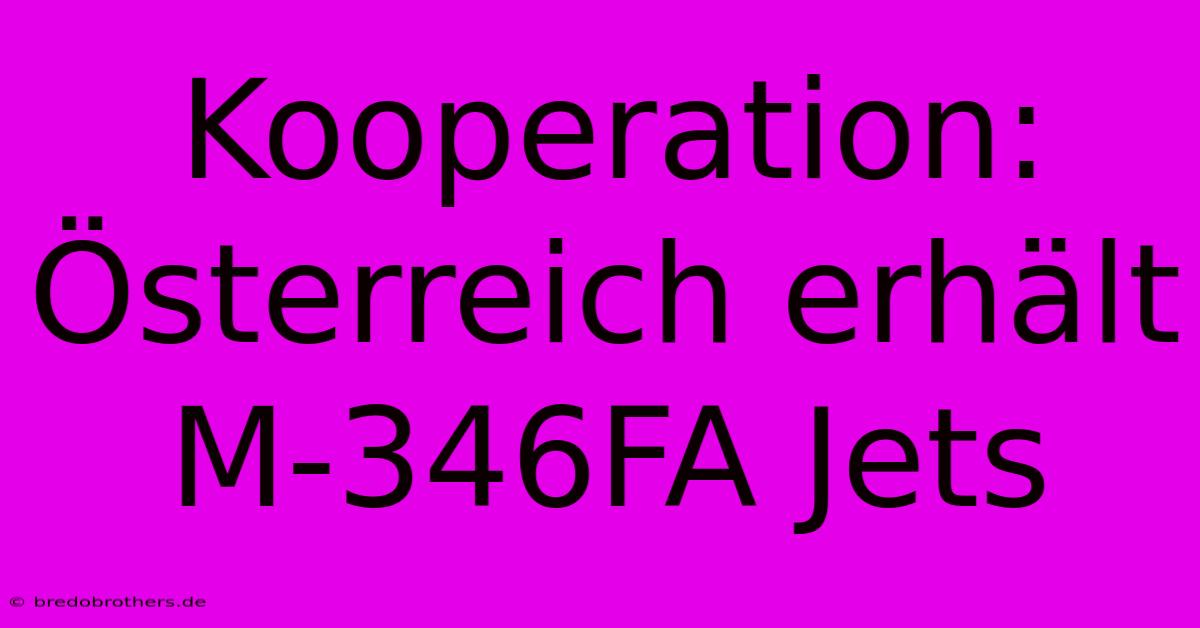 Kooperation: Österreich Erhält M-346FA Jets