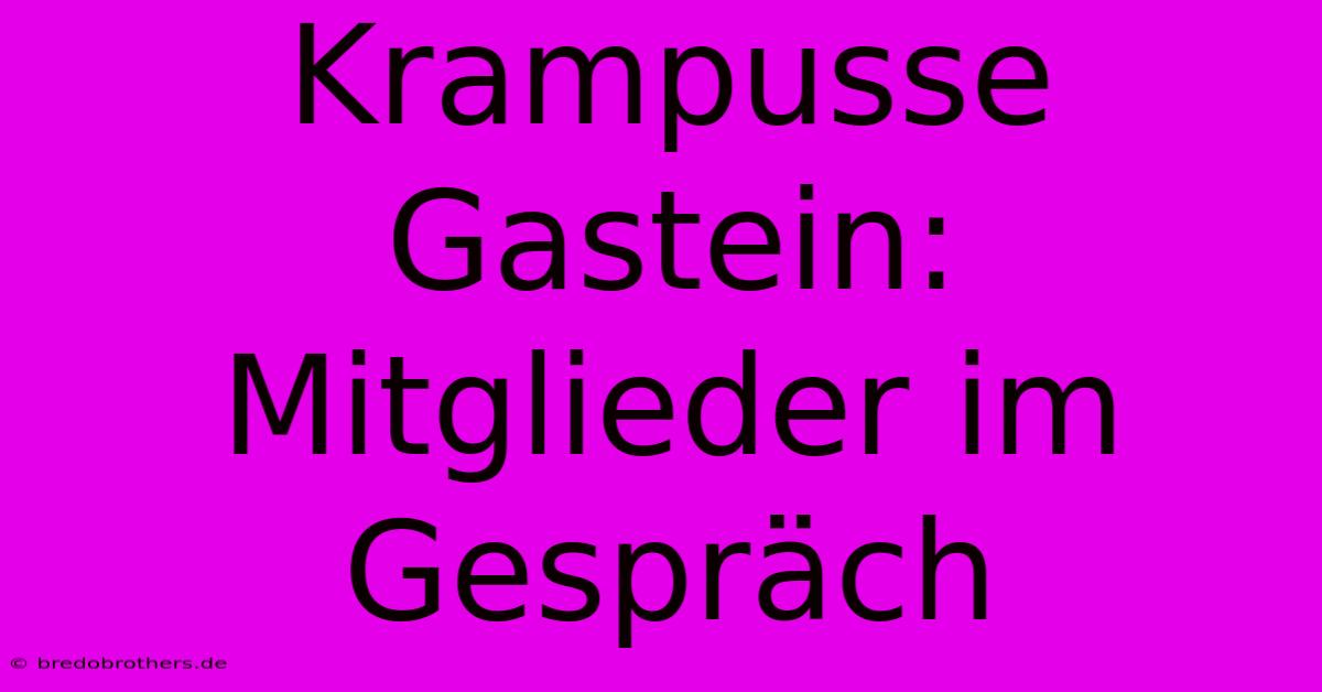 Krampusse Gastein: Mitglieder Im Gespräch