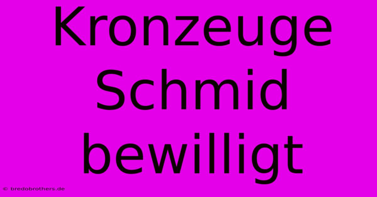 Kronzeuge Schmid Bewilligt