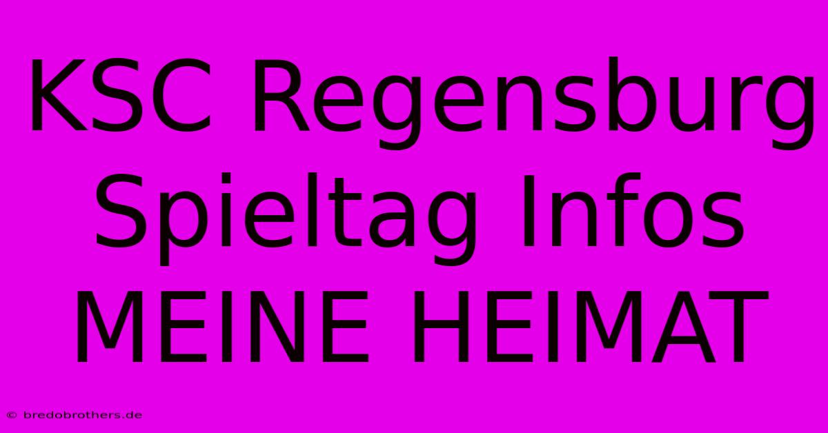 KSC Regensburg Spieltag Infos MEINE HEIMAT