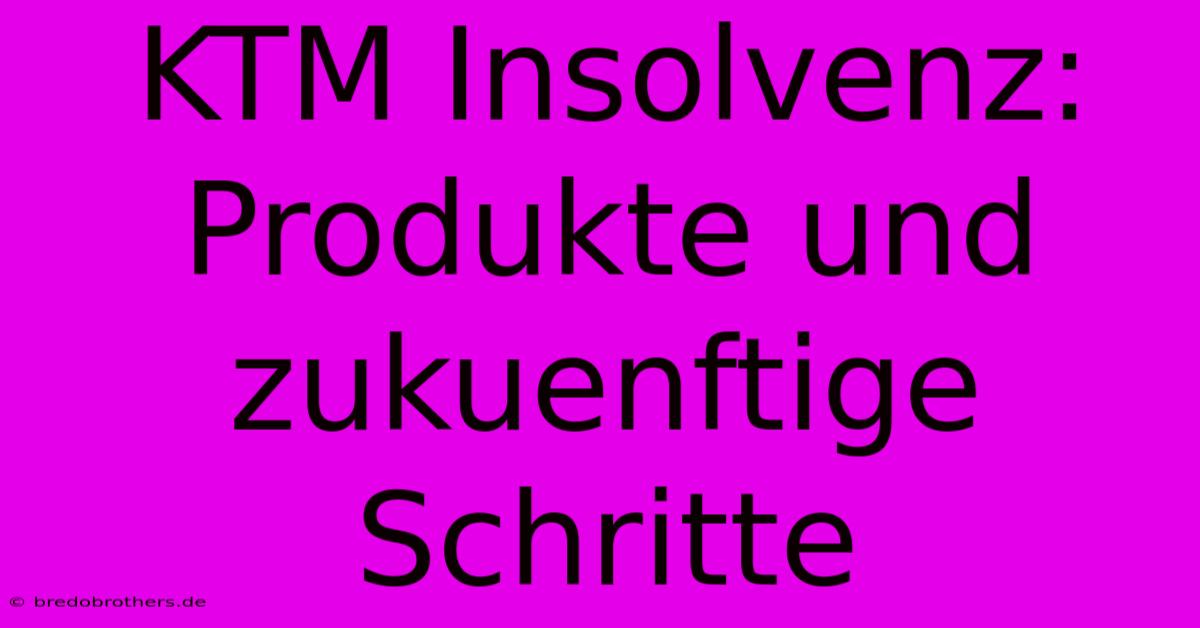 KTM Insolvenz: Produkte Und Zukuenftige Schritte