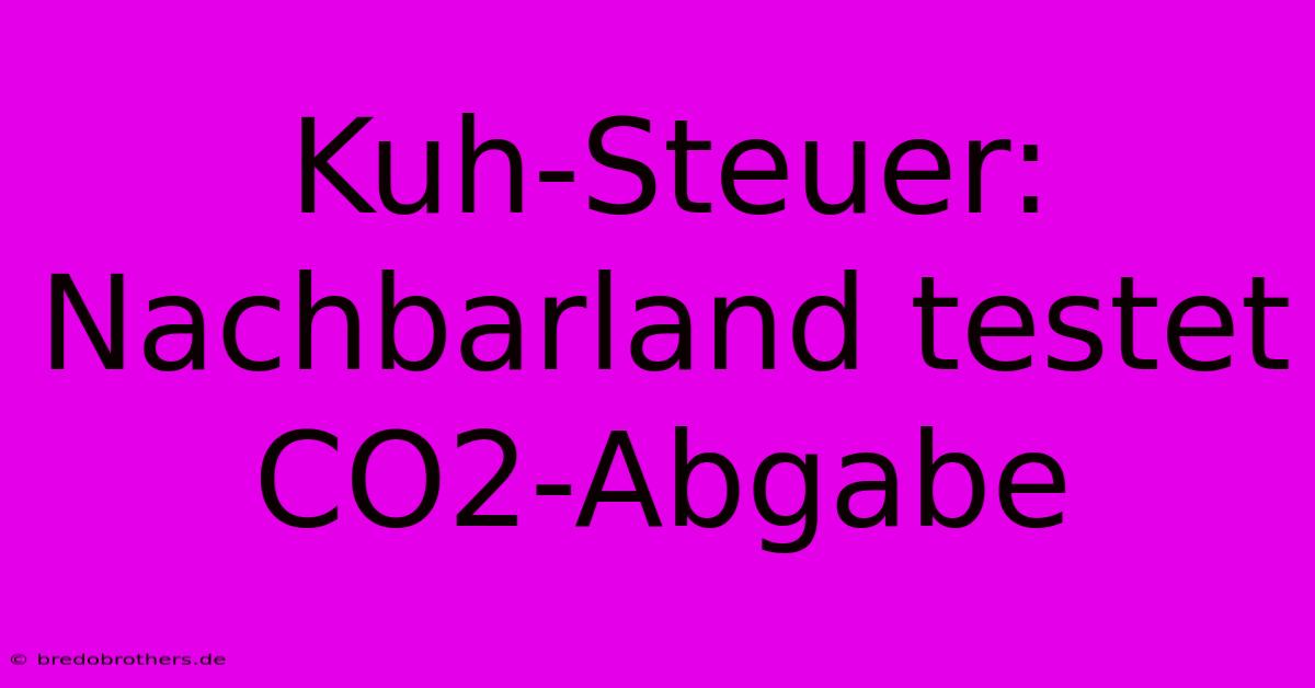 Kuh-Steuer: Nachbarland Testet CO2-Abgabe