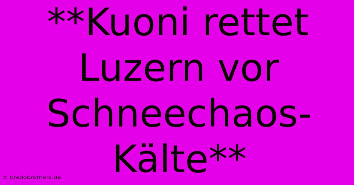 **Kuoni Rettet Luzern Vor Schneechaos-Kälte**