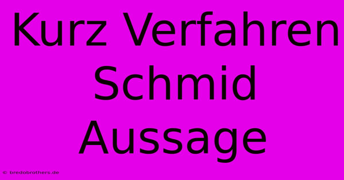 Kurz Verfahren Schmid Aussage