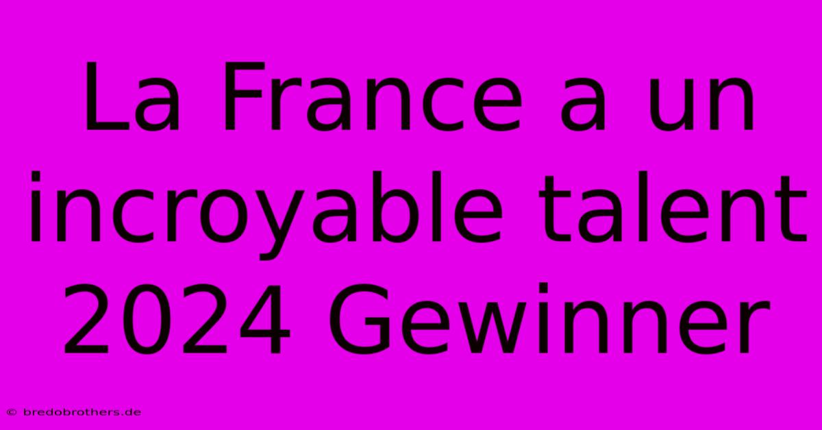 La France A Un Incroyable Talent 2024 Gewinner