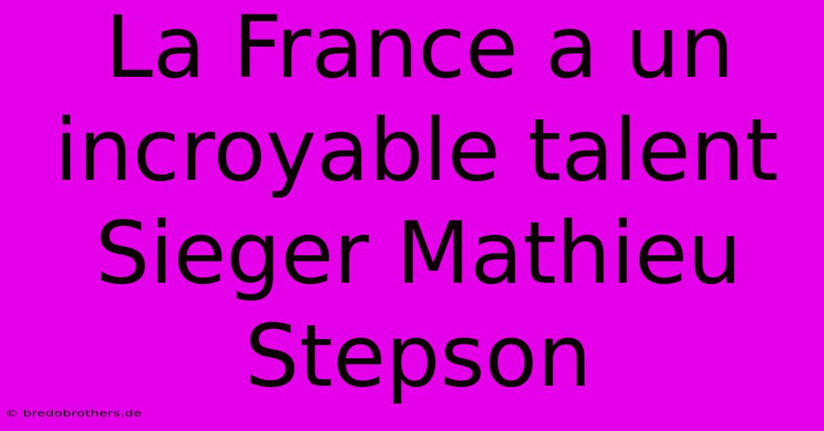 La France A Un Incroyable Talent Sieger Mathieu Stepson