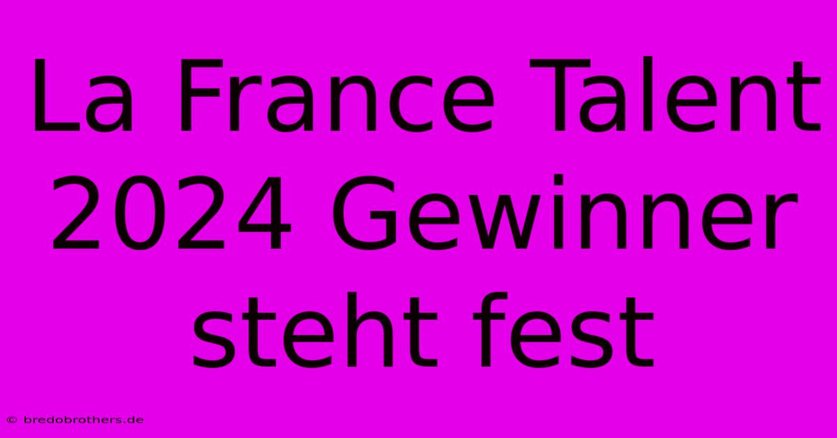 La France Talent 2024 Gewinner Steht Fest