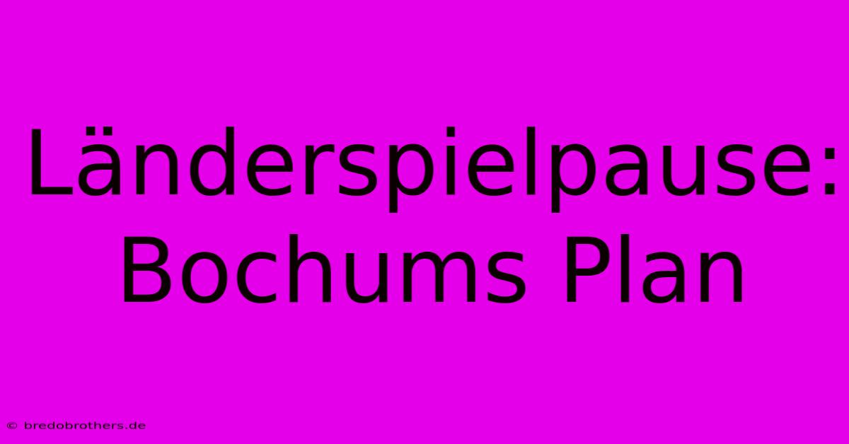 Länderspielpause: Bochums Plan