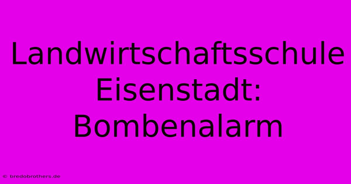 Landwirtschaftsschule Eisenstadt: Bombenalarm