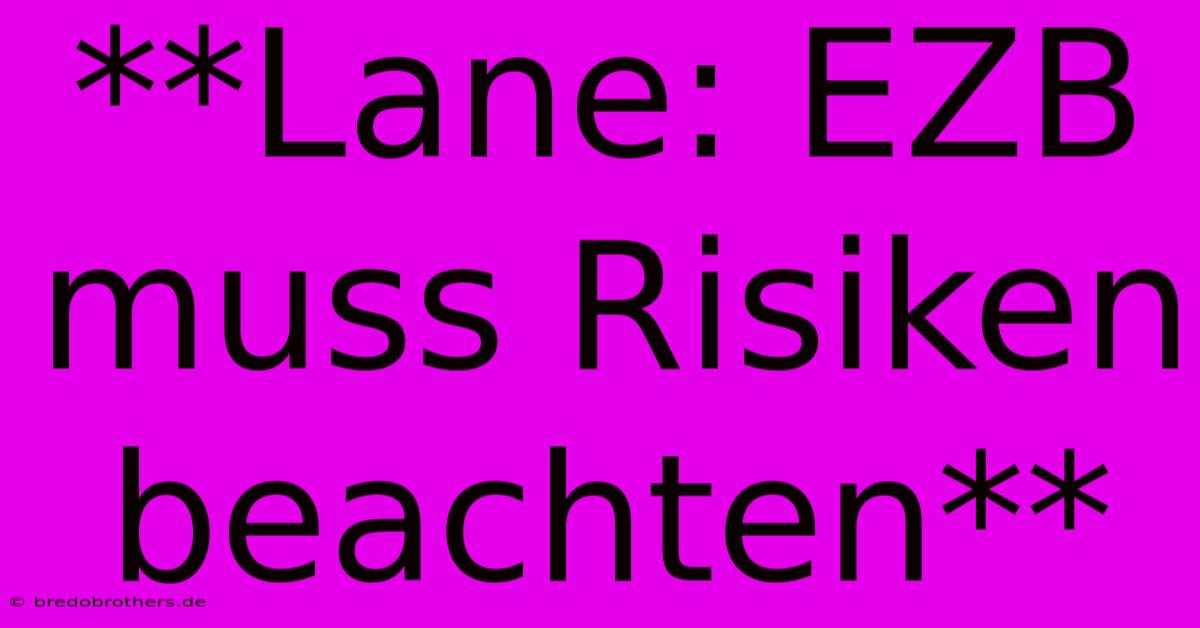 **Lane: EZB Muss Risiken Beachten**