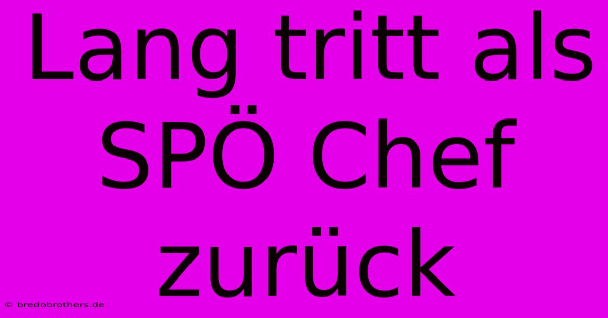 Lang Tritt Als SPÖ Chef Zurück