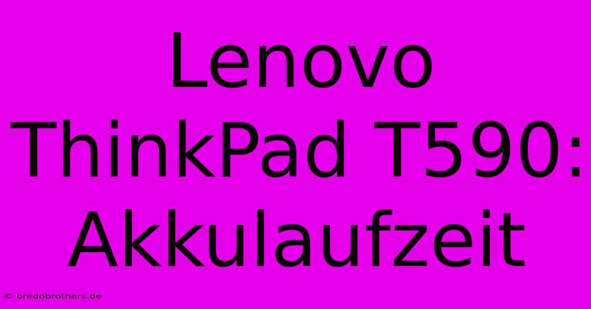 Lenovo ThinkPad T590: Akkulaufzeit