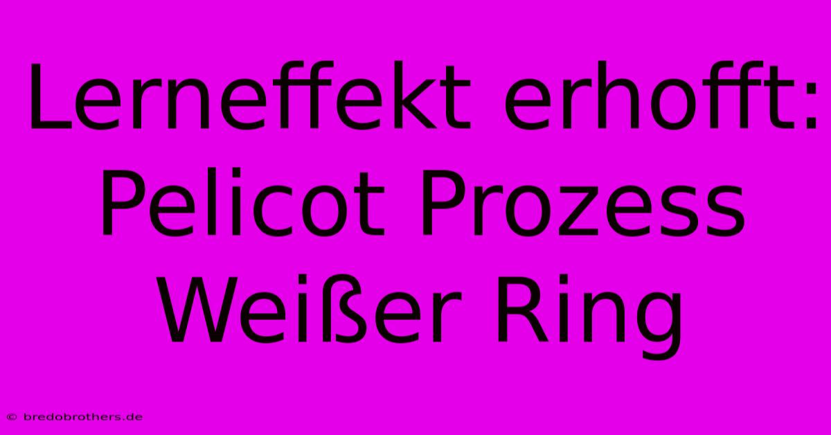 Lerneffekt Erhofft: Pelicot Prozess Weißer Ring