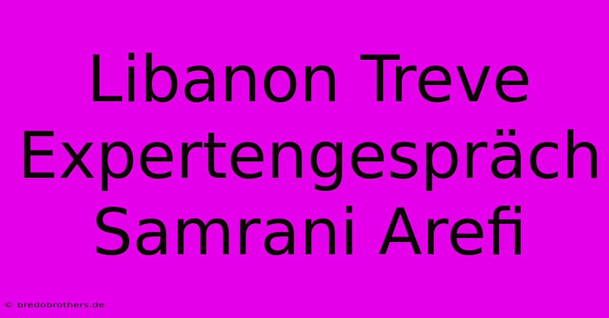 Libanon Treve Expertengespräch Samrani Arefi