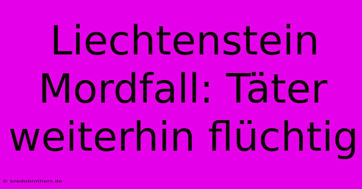 Liechtenstein Mordfall: Täter Weiterhin Flüchtig