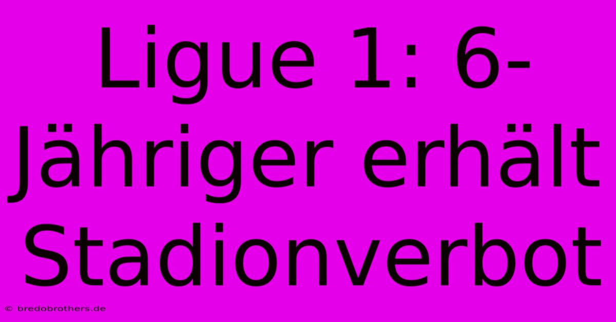 Ligue 1: 6-Jähriger Erhält Stadionverbot