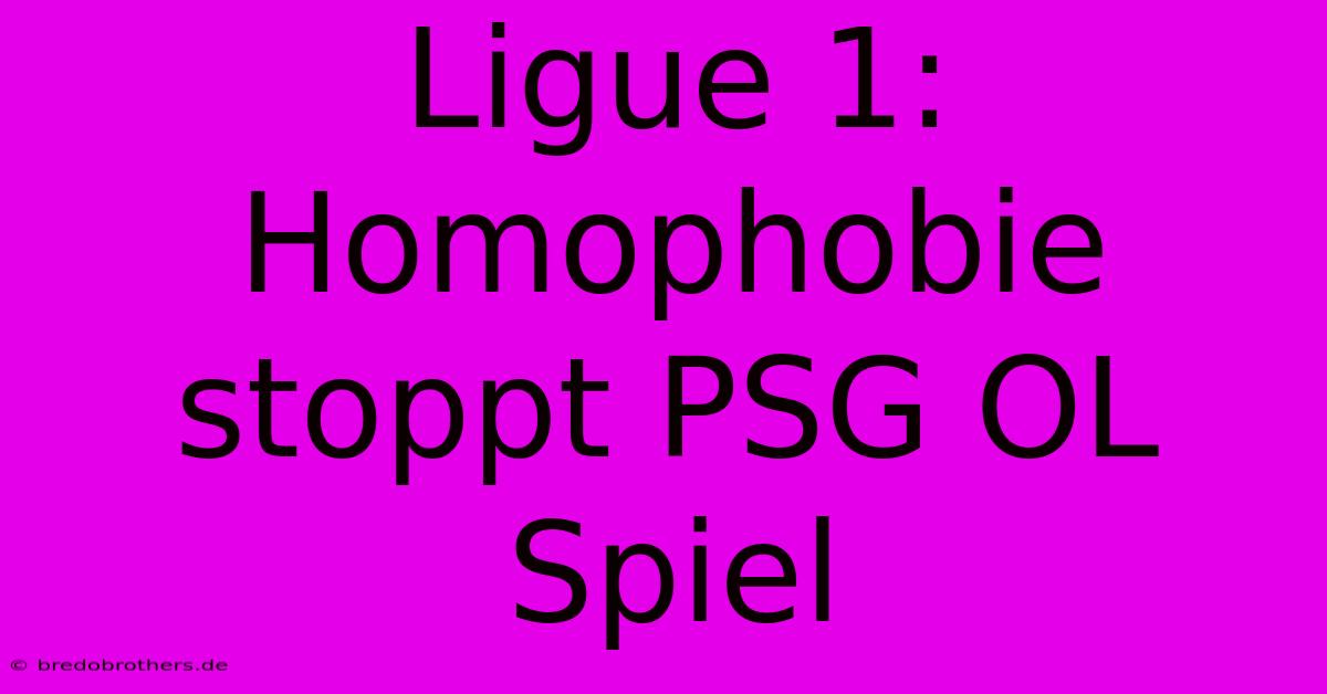 Ligue 1: Homophobie Stoppt PSG OL Spiel