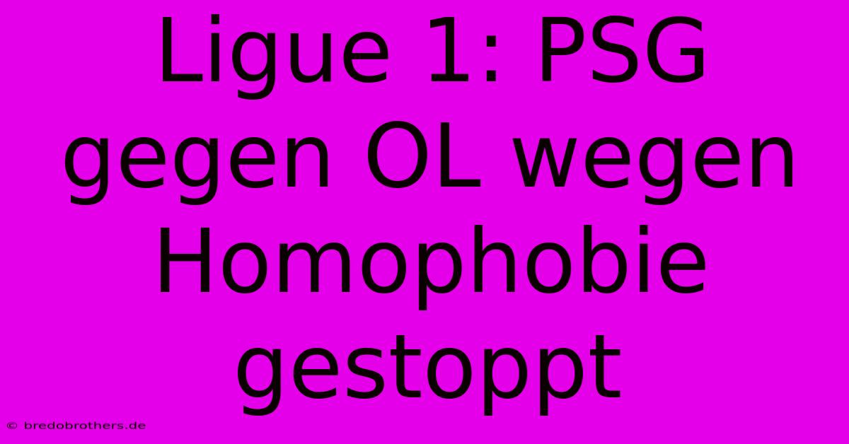 Ligue 1: PSG Gegen OL Wegen Homophobie Gestoppt