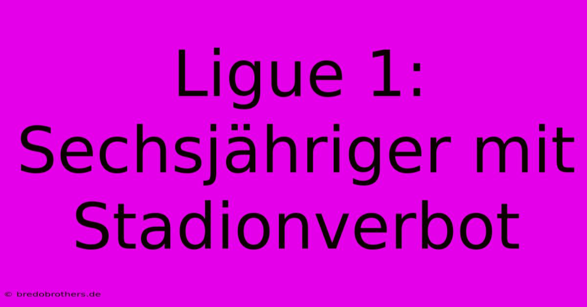 Ligue 1: Sechsjähriger Mit Stadionverbot