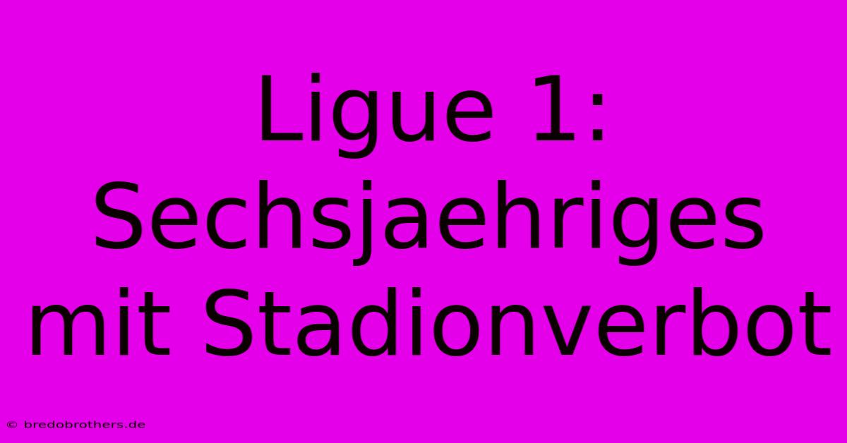 Ligue 1: Sechsjaehriges Mit Stadionverbot