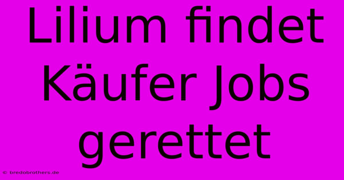 Lilium Findet Käufer Jobs Gerettet