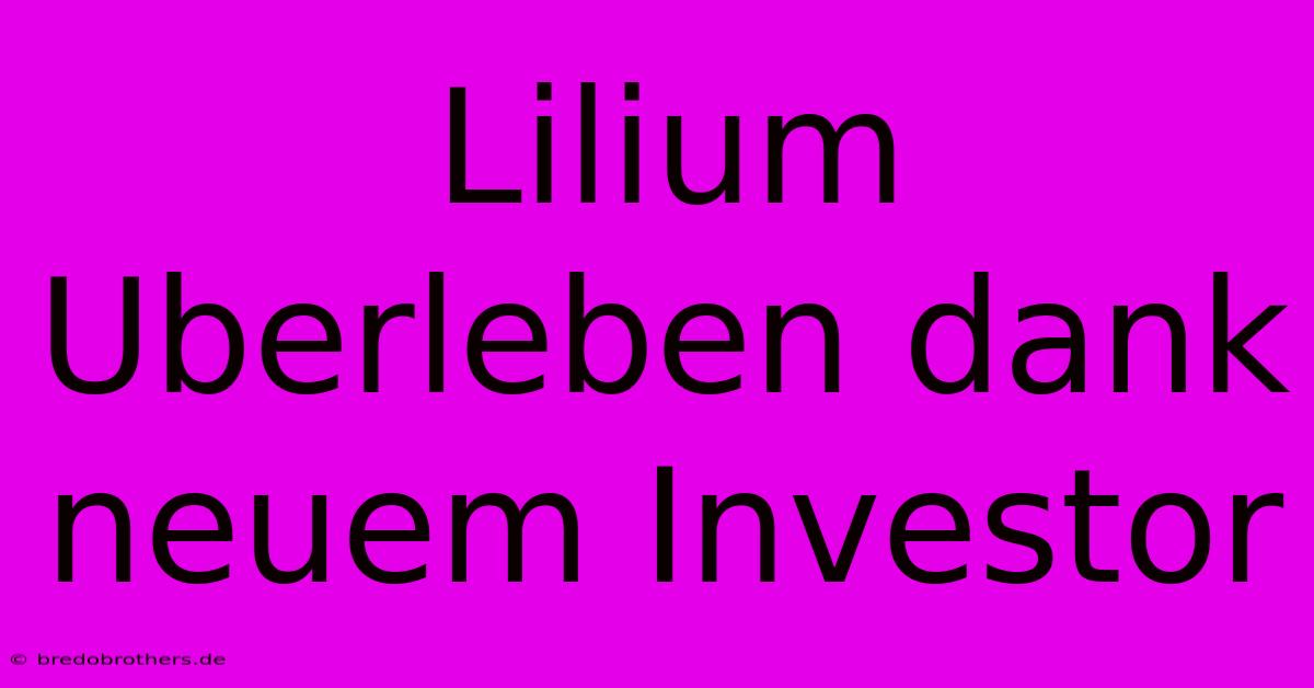 Lilium Uberleben Dank Neuem Investor