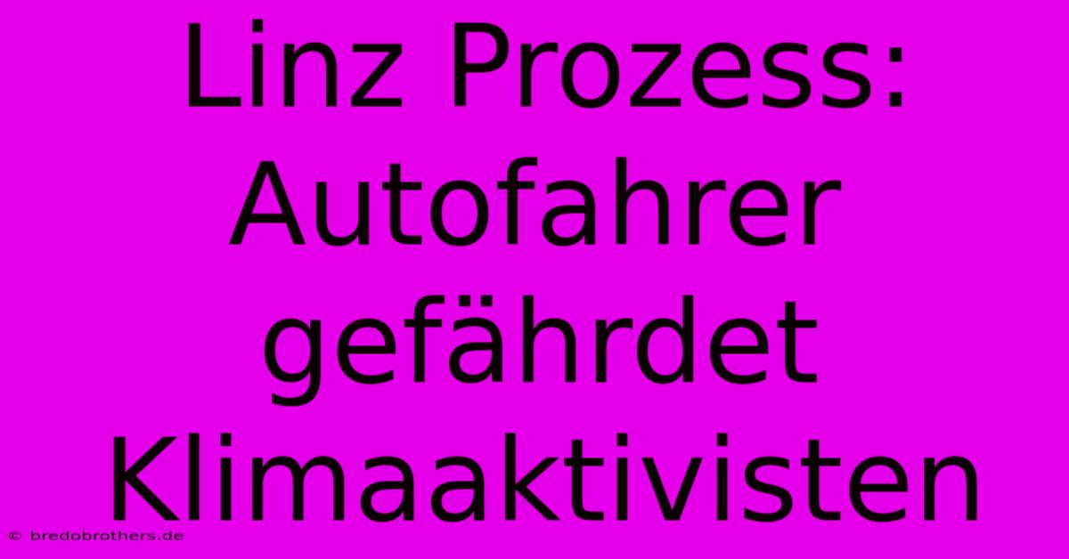 Linz Prozess: Autofahrer Gefährdet Klimaaktivisten