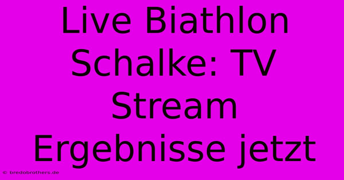 Live Biathlon Schalke: TV Stream Ergebnisse Jetzt