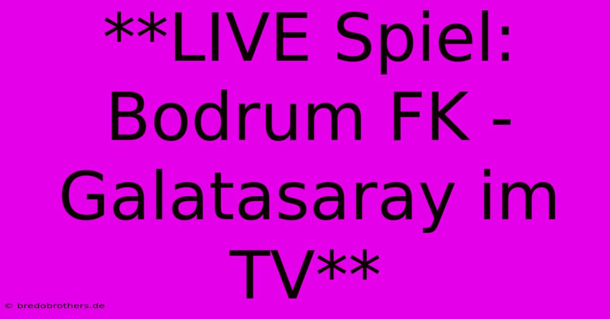 **LIVE Spiel: Bodrum FK - Galatasaray Im TV**