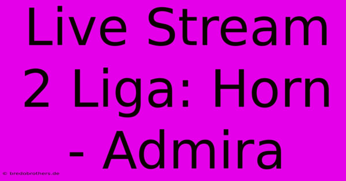 Live Stream 2 Liga: Horn - Admira