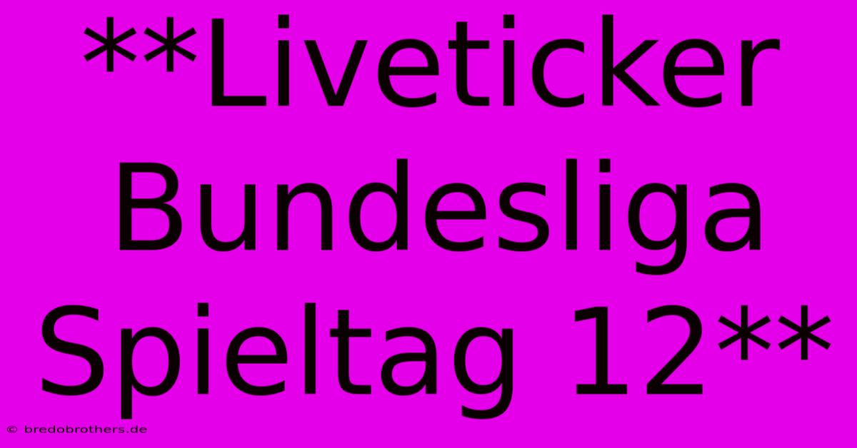 **Liveticker Bundesliga Spieltag 12**