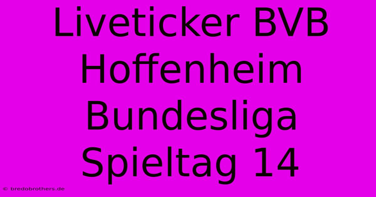 Liveticker BVB Hoffenheim Bundesliga Spieltag 14