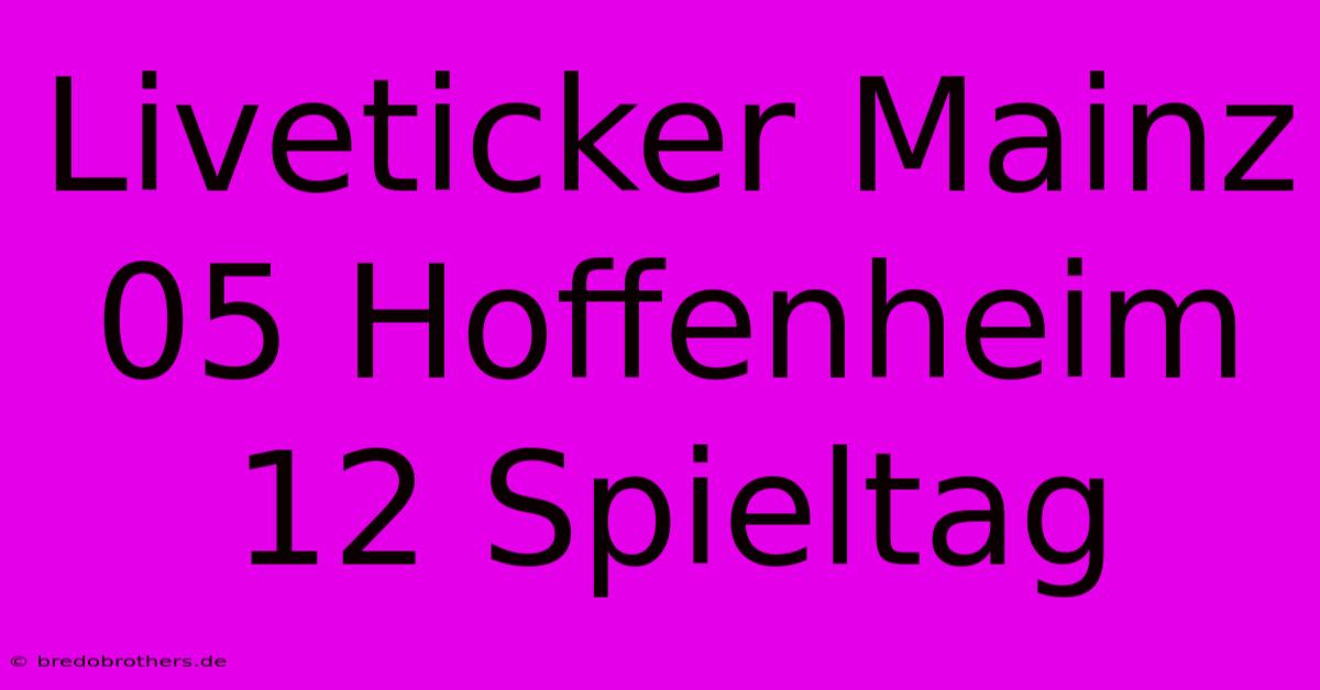 Liveticker Mainz 05 Hoffenheim 12 Spieltag