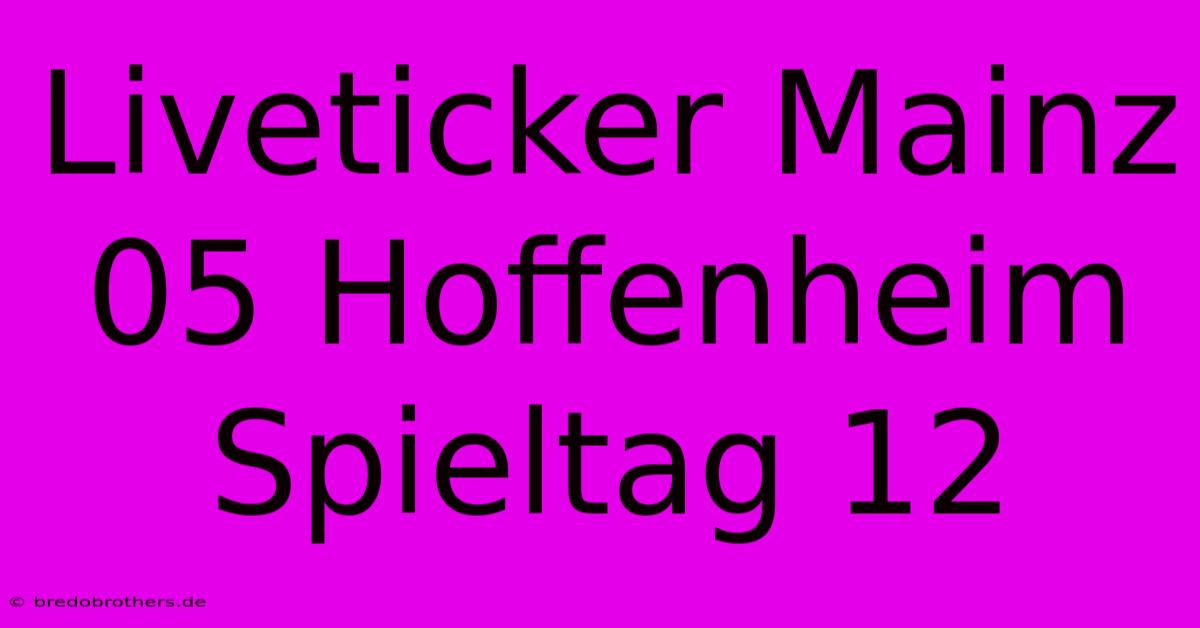 Liveticker Mainz 05 Hoffenheim Spieltag 12