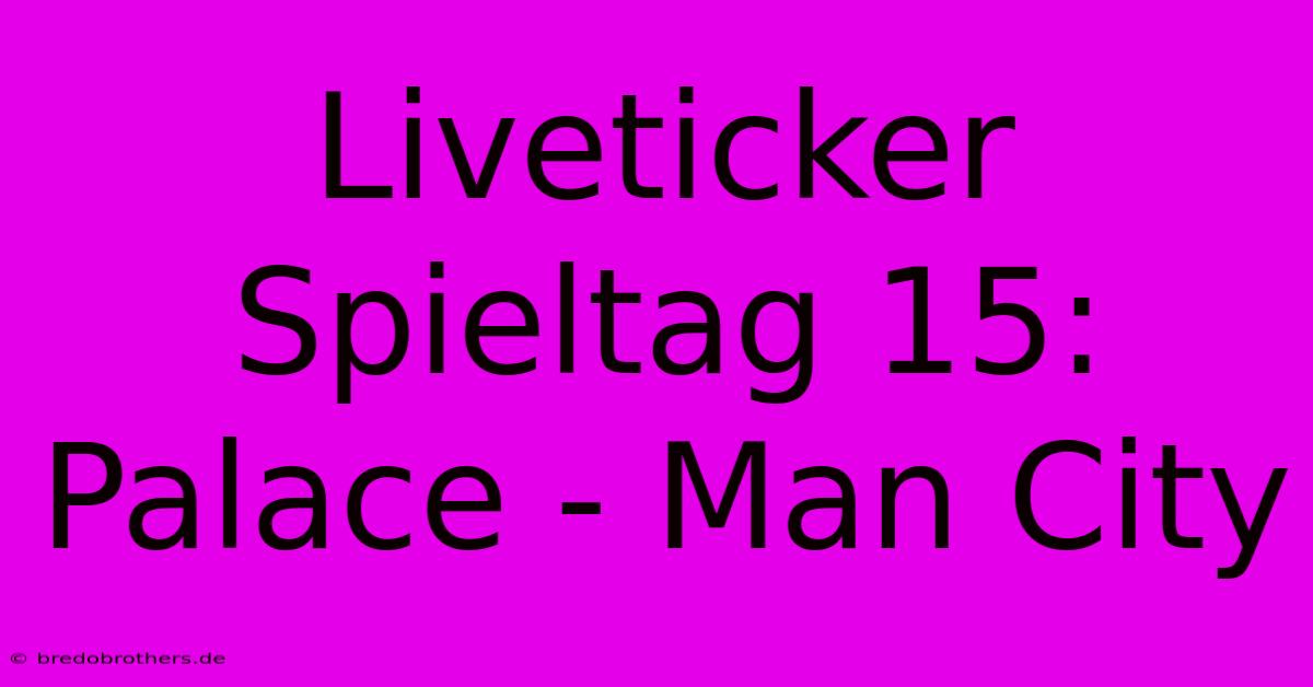 Liveticker Spieltag 15: Palace - Man City