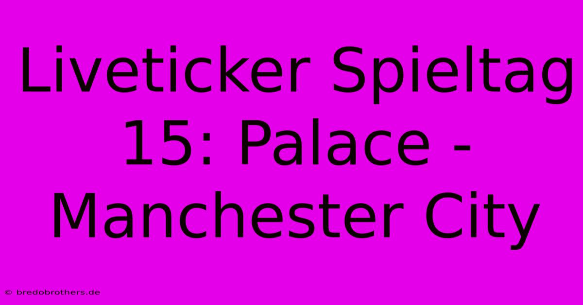 Liveticker Spieltag 15: Palace - Manchester City