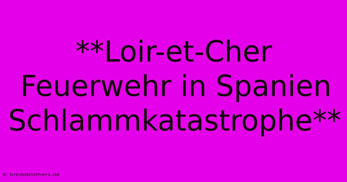 **Loir-et-Cher Feuerwehr In Spanien Schlammkatastrophe**