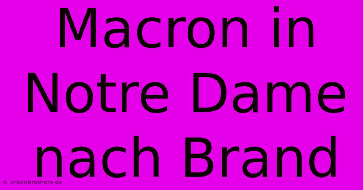 Macron In Notre Dame Nach Brand