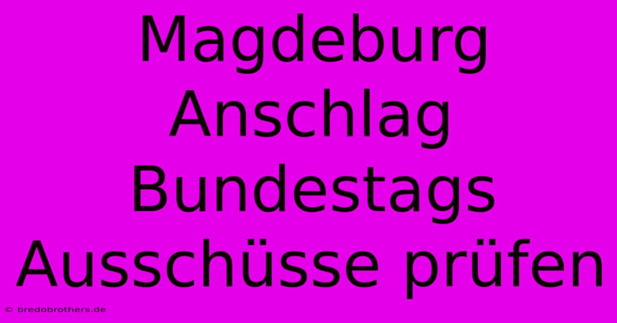 Magdeburg Anschlag  Bundestags Ausschüsse Prüfen