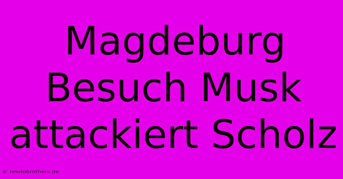 Magdeburg Besuch Musk Attackiert Scholz