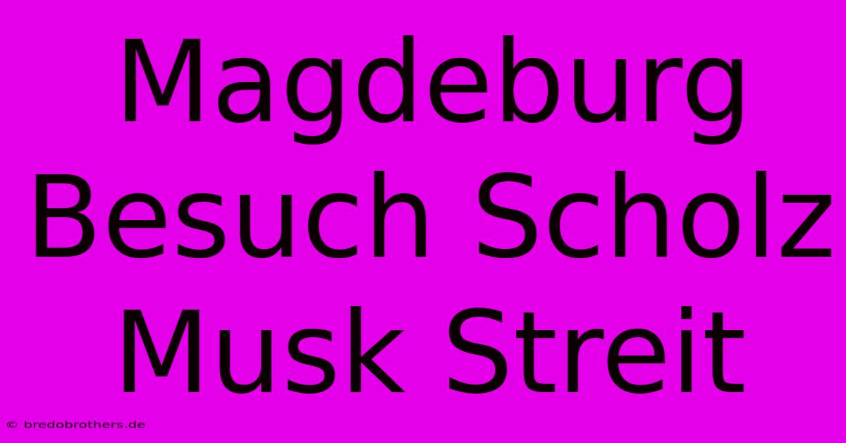 Magdeburg Besuch Scholz Musk Streit