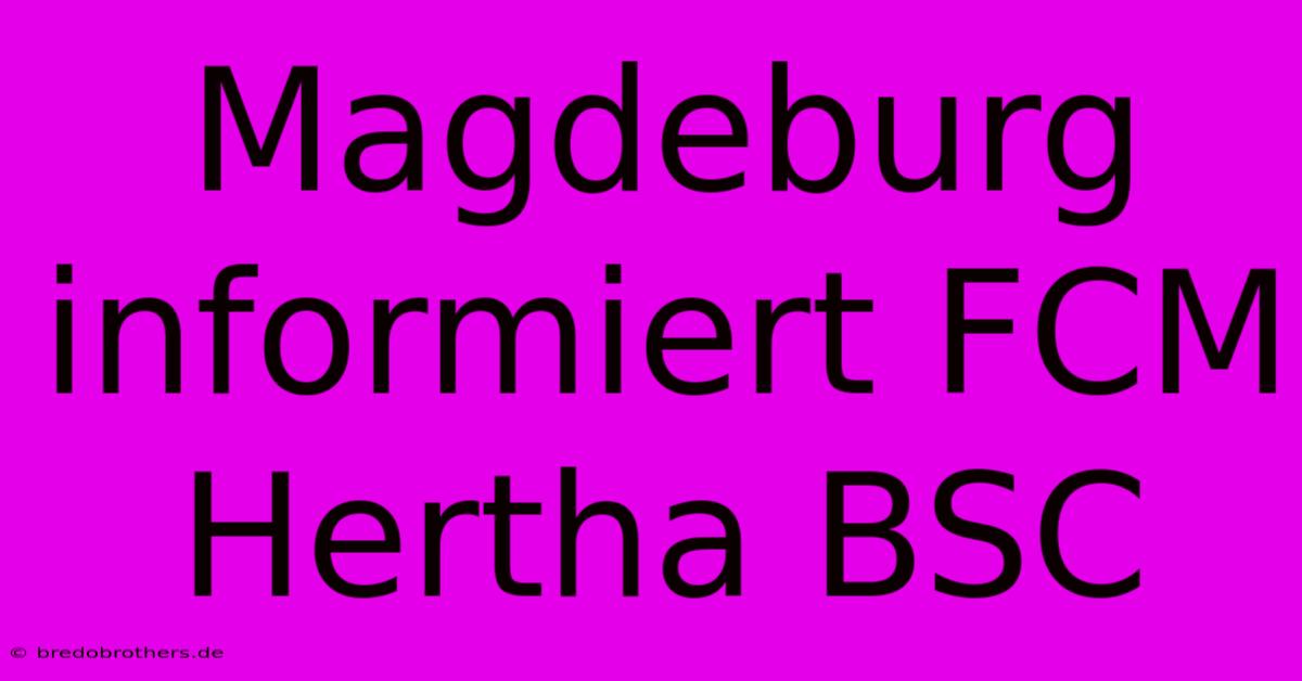 Magdeburg Informiert FCM Hertha BSC