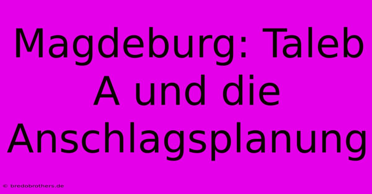 Magdeburg: Taleb A Und Die  Anschlagsplanung