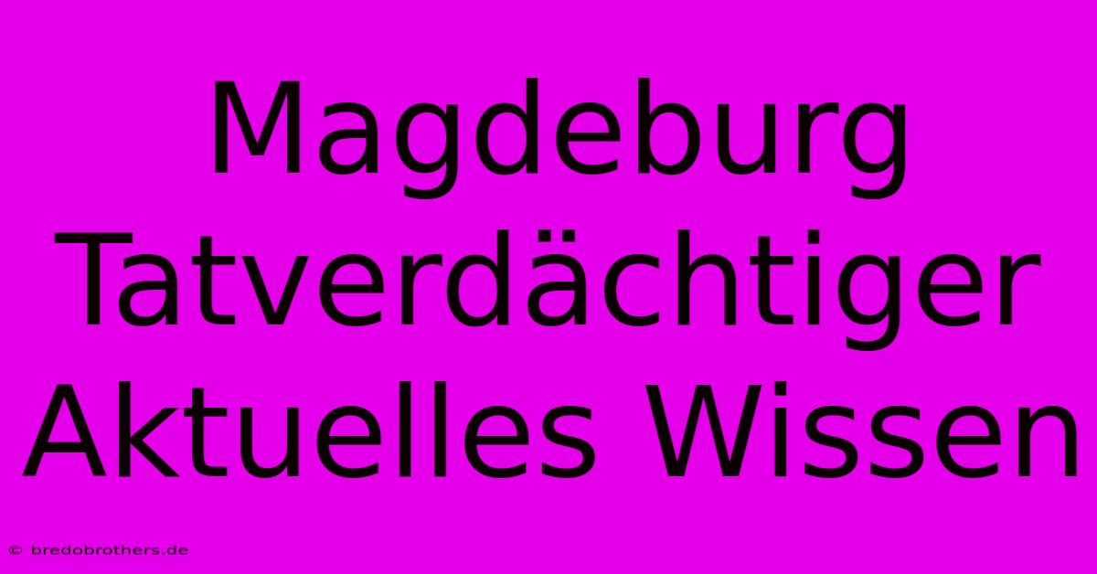 Magdeburg Tatverdächtiger Aktuelles Wissen