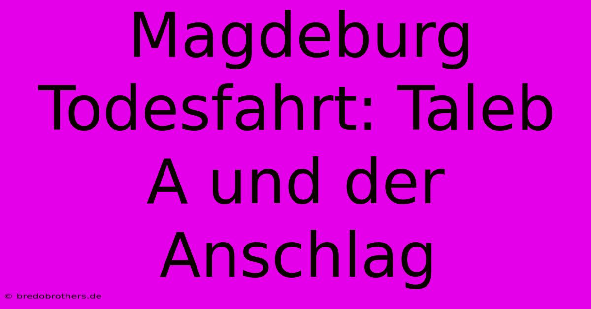 Magdeburg Todesfahrt: Taleb A Und Der Anschlag