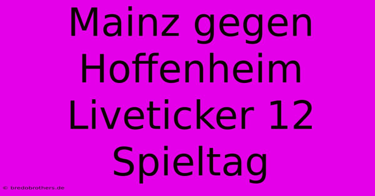 Mainz Gegen Hoffenheim Liveticker 12 Spieltag