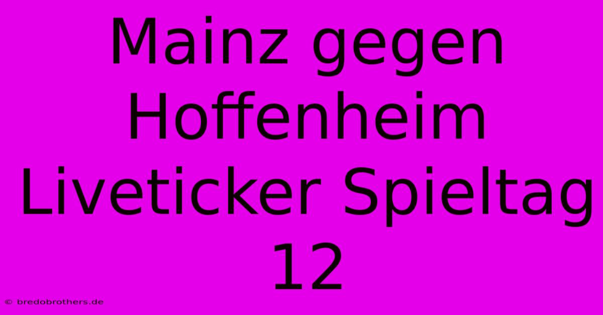 Mainz Gegen Hoffenheim Liveticker Spieltag 12