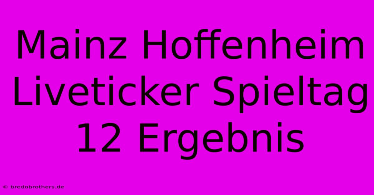 Mainz Hoffenheim Liveticker Spieltag 12 Ergebnis