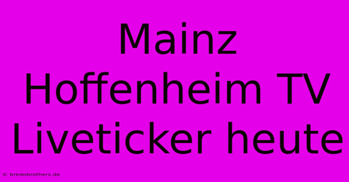 Mainz Hoffenheim TV Liveticker Heute